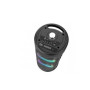 Haut Parleur Bluetooth avec Micro Karaoké ZQS 4239 Noir