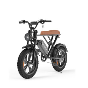 Bicyclette Électrique Ecoride Noir fiche technique et prix Tunisie