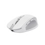Souris Sans Fil Trust Ozaa Multi-appareils Blanc rapport qualité prix