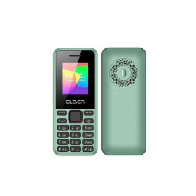 Téléphone portable Clever C4 Dual SIM Vert prix Tunisie