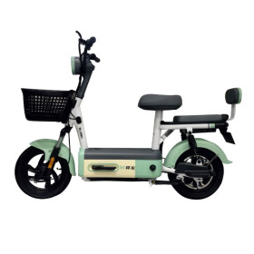 Scooter Électrique Ecoride ZEN 600W Vert prix Tunisie