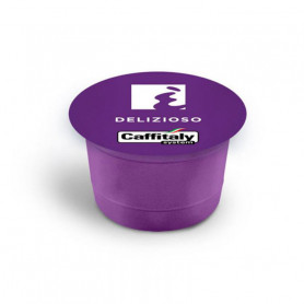 Box 10 Capsules Caffitaly Delizioso