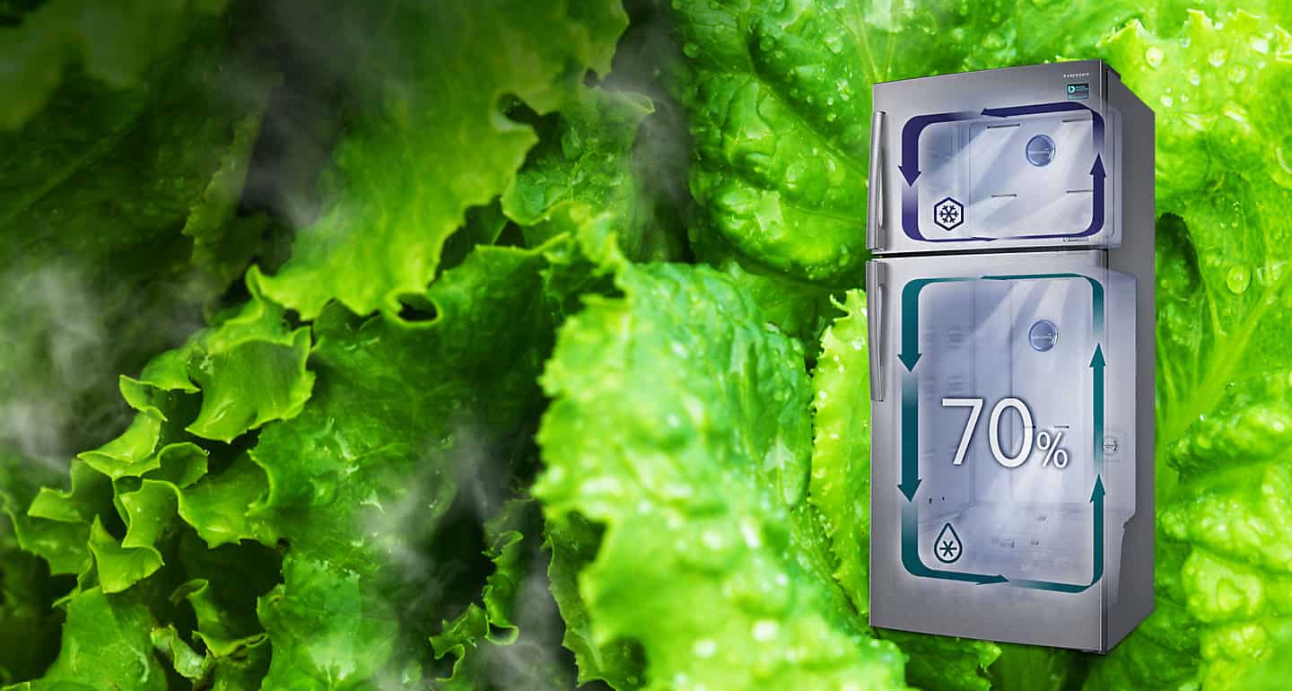 Le réfrigérateur Samsung RT50 est équipé par un Protecteur Anti-Bactérienne avec garantie 10ans sur le compresseur